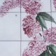 000273_400_600